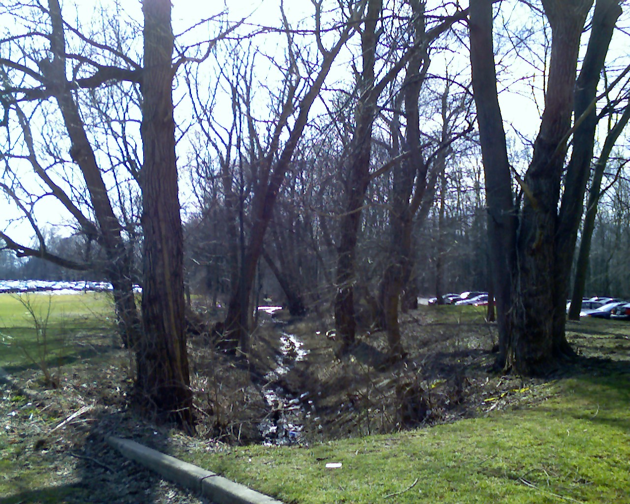 After Spring Flood 06 Creek