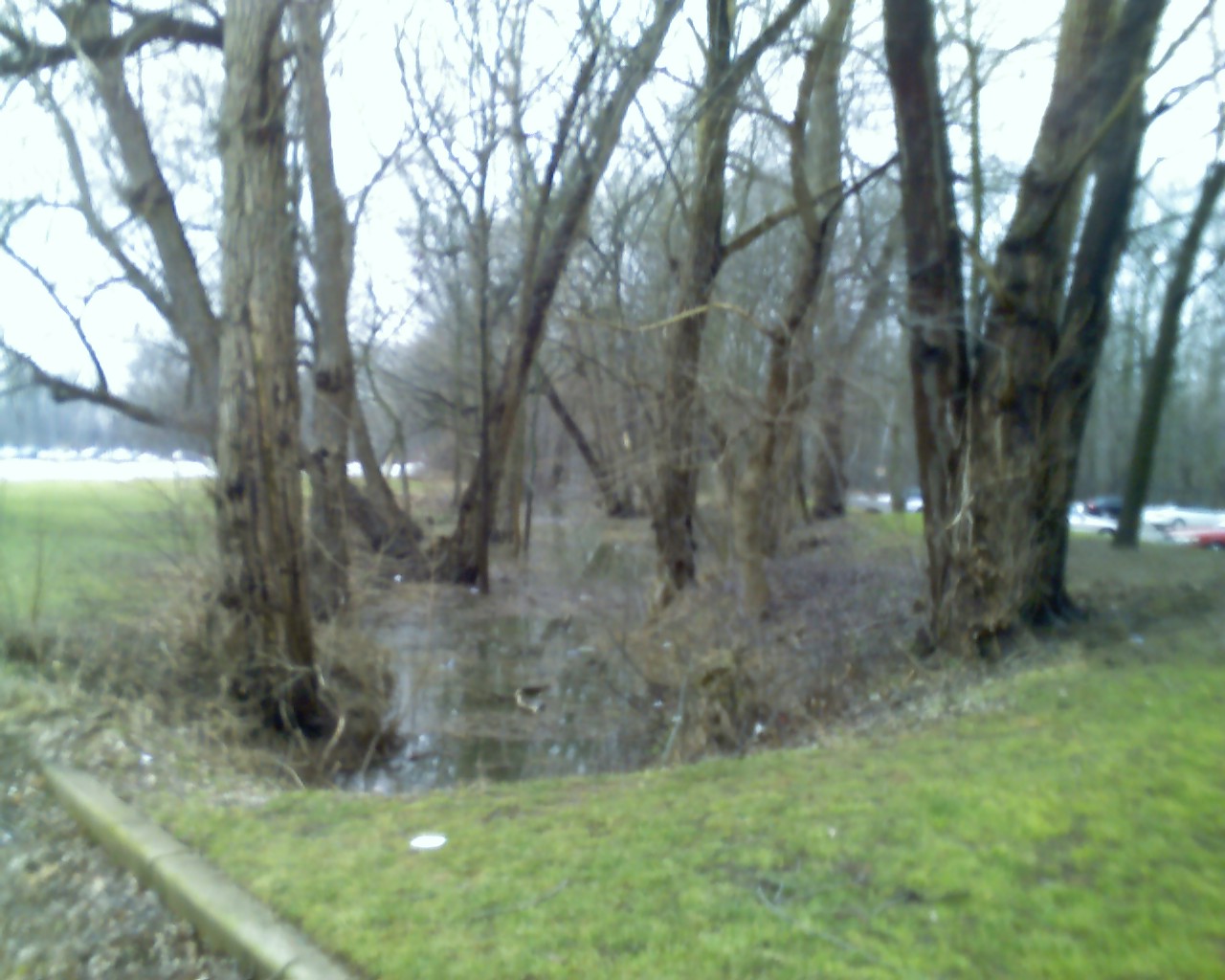 Spring Flood 06 Creek