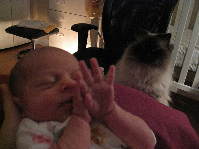 After she stopped pouting in the basement, kitty was fascinated by baby Blueberry and breastfeeding.