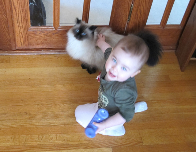 Even before she could properly focus, toddler Blueberry was very gentle with kitty and they were great friends.