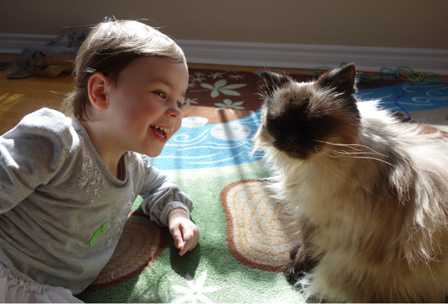 Together in the sunshine. This is in front of the same window where kitty and I spent our last day together.