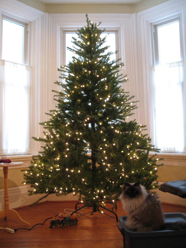 Xmas tree set-up in London (incidentally, this was the first xmas Wayfare and I had together after getting married). Kitty was there with me for most of my life's big events.