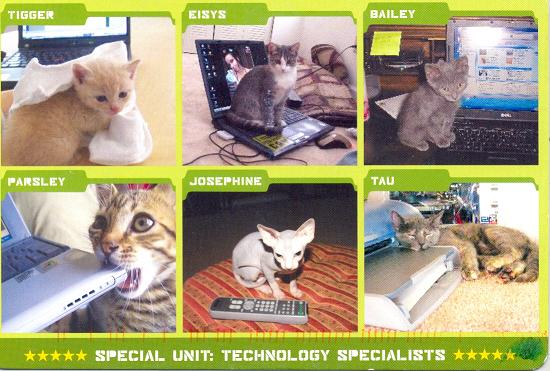 A postcard of kitties.